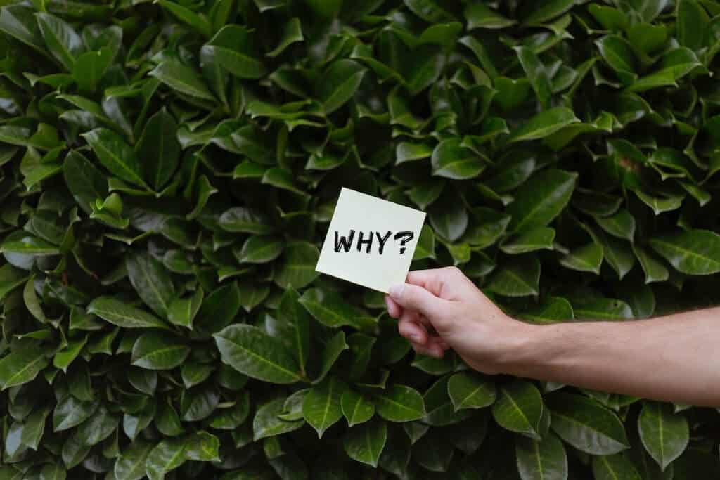 Note with the word 'why?' on it being held up in front of a green hedge